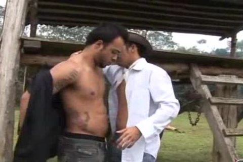 Ayollar jinsiy buzuqlardir