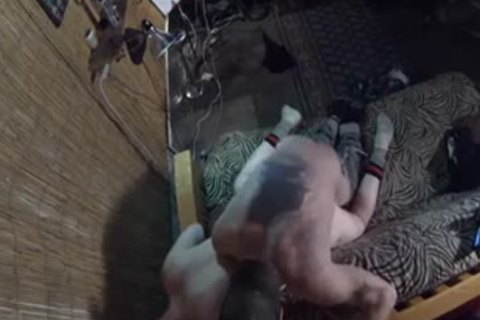 pursueed The Treasure Trail, Found The pooper - Damon Doggs love juice Factory