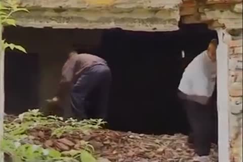 3some twink orgy On The Farm