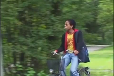 enjoyment In Holland