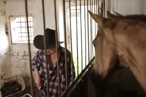 fine twinks pound In Farm