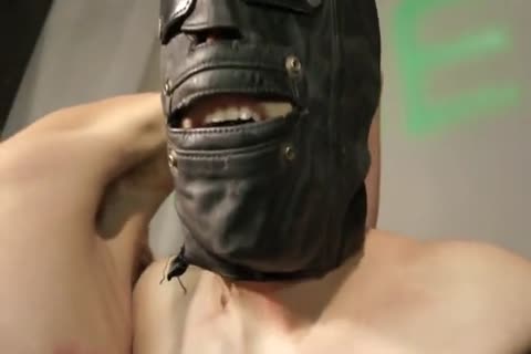 sadomasochism bondage lad Whipped, Waxed, Milked