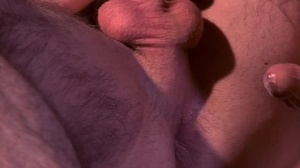Top To Bottom : Woody Fox - Woody Fox hardcore Sex