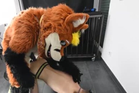 Puppy acquires poked By Fursuit With  sex tool
