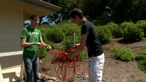 Next Door Twink: Discovering a World of Passion